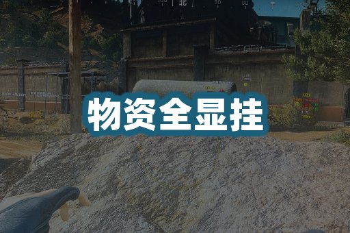 物资全显挂